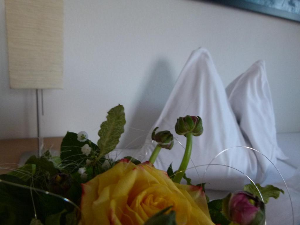 Hotel Fischachstubn Bergheim Værelse billede